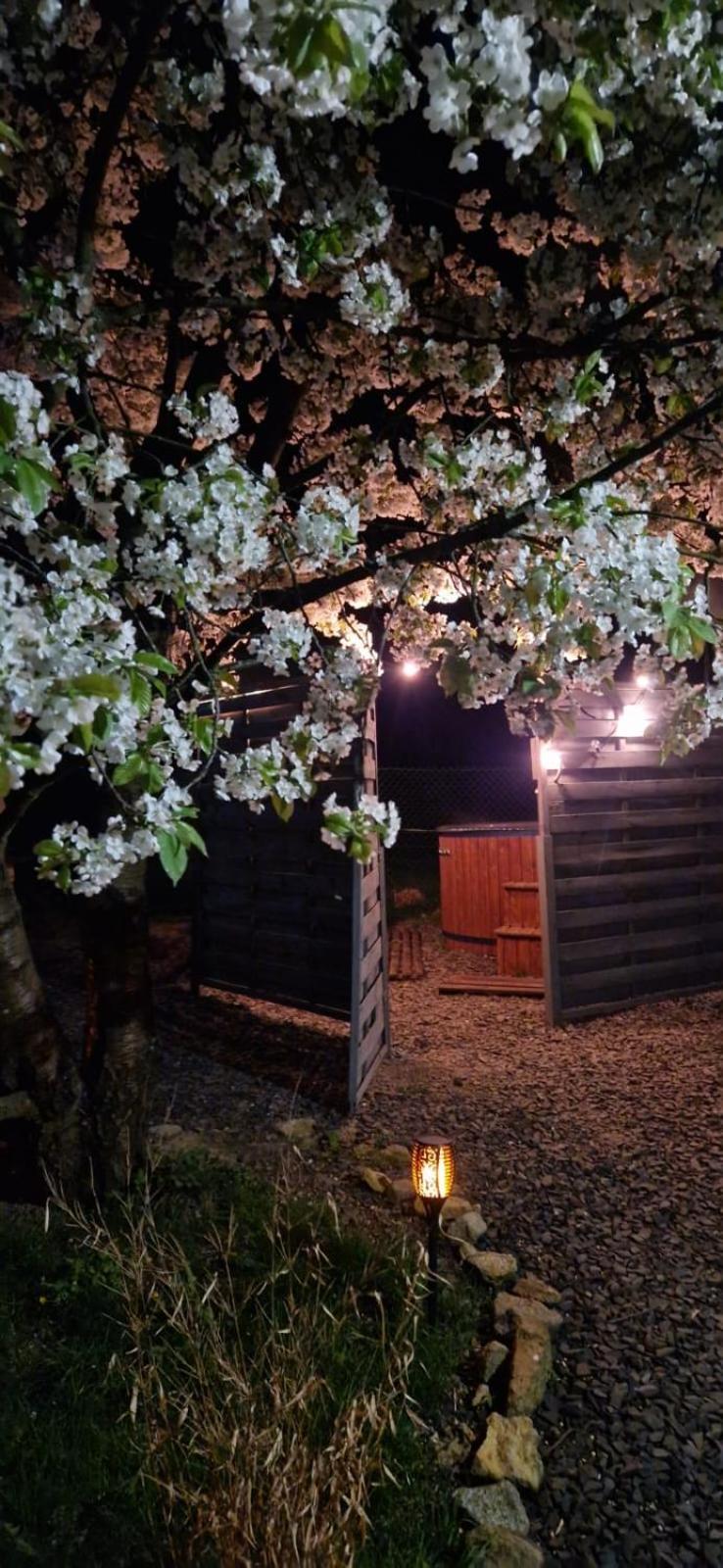 Agroturystyka U Kozdryka Leśna Exteriör bild